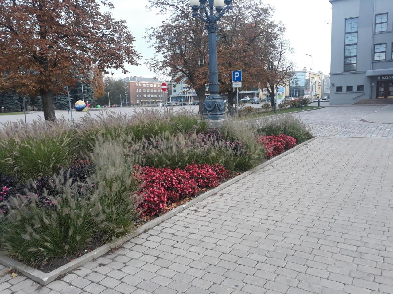 Town Center Studio Apartment Dyneburg Zewnętrze zdjęcie